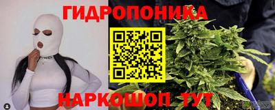 бошки Бийск