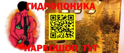 бошки Бийск