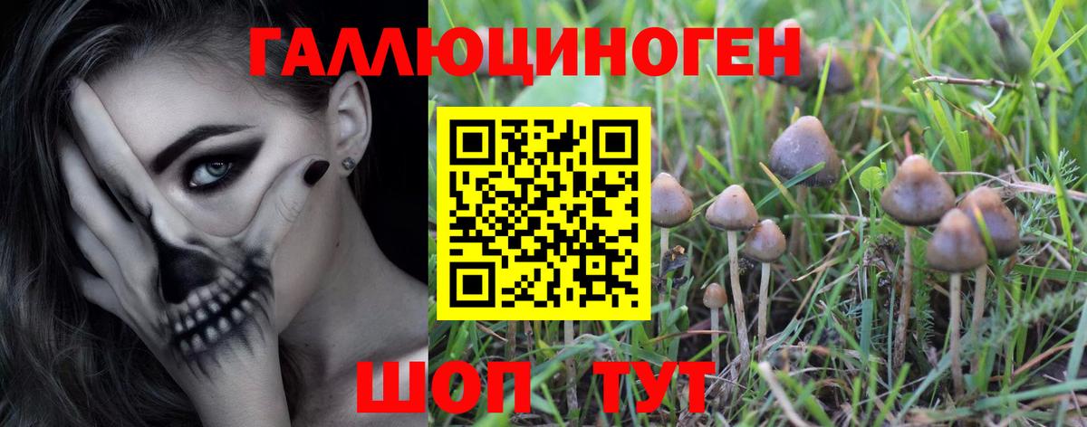 Галлюциногенные грибы GOLDEN TEACHER Кимовск