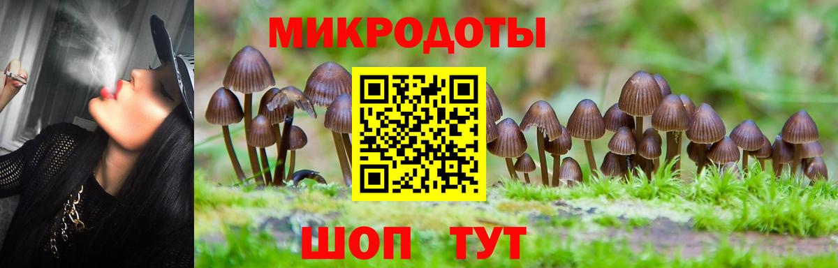 Псилоцибиновые грибы MAGIC MUSHROOMS  Псилоцибиновые грибы прущие грибы  Кимовск  Вход с VPN 